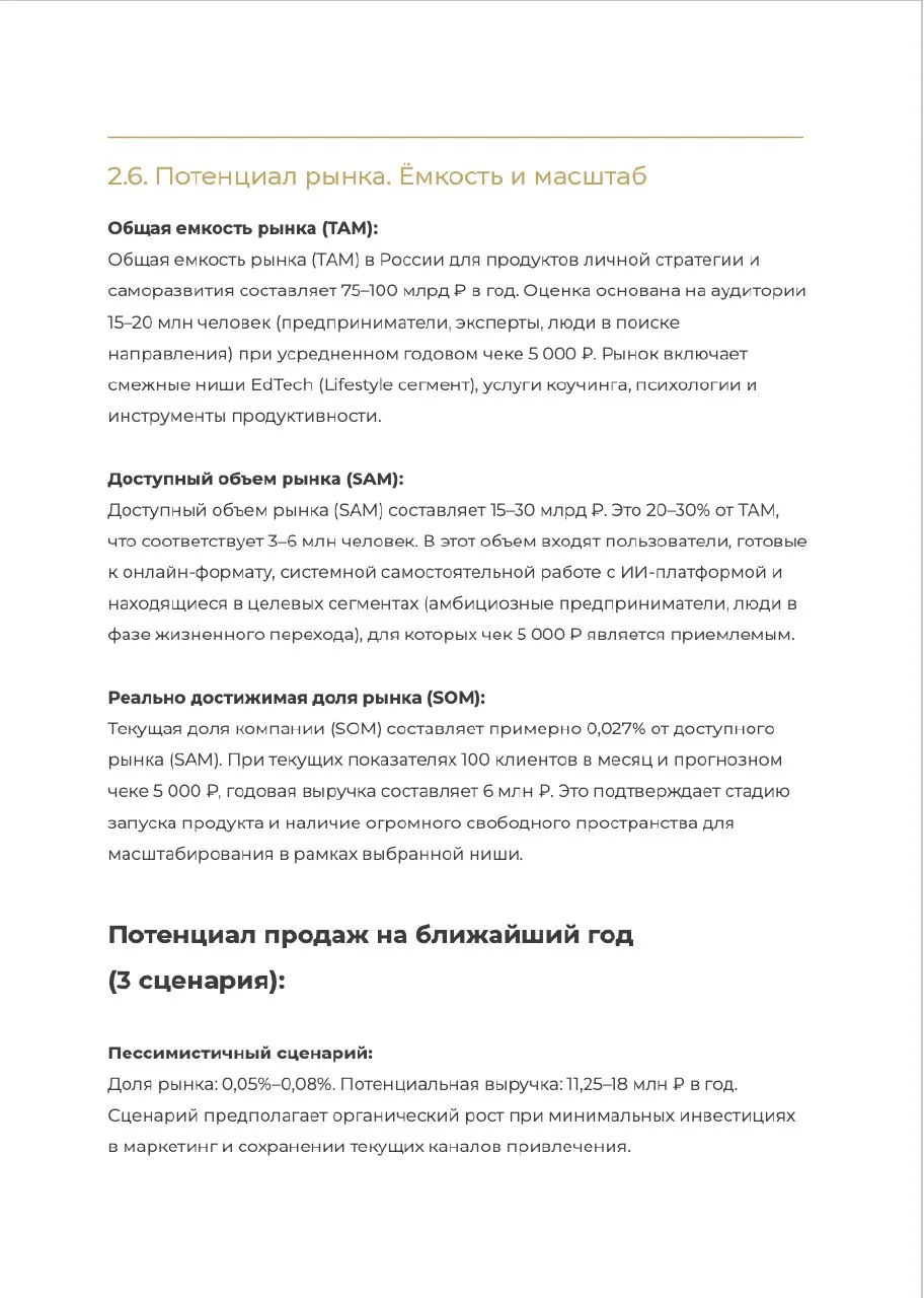Пример страницы документа: анализ объёма рынка (TAM, SAM, SOM)